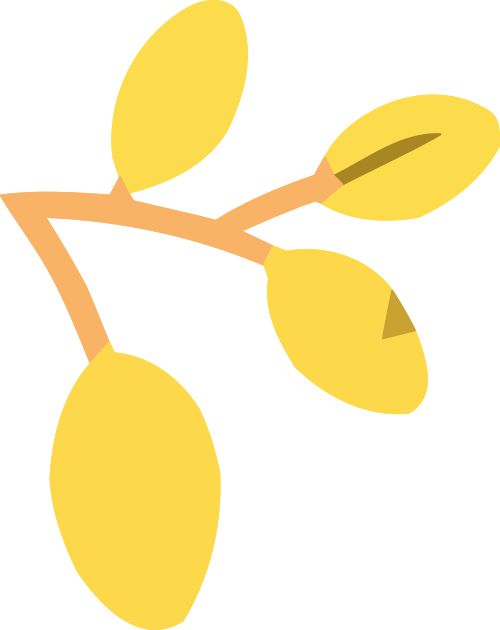 特长生相关网站问题合集(图8)