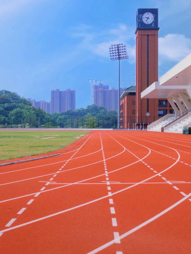 跃升一位跻网站身三甲富腾高级中学在东台市第40届中小学生田径运动会青年组比赛中勇创佳绩